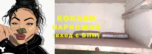 гидра Бронницы
