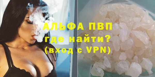 PSILOCYBIN Волосово
