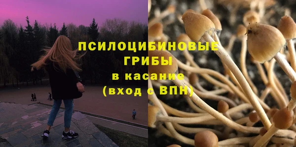 гашик Волоколамск